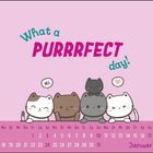 Ein Kalenderblatt für Januar. Text: "What a purrrfect day!" Vier Katzen; links mit "Hi"-Sprechblase, rechts Herz.