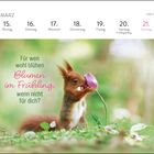 „Für wen wohl blühen Blumen im Frühling, wenn nicht für dich?“ Ein Eichhörnchen schnuppert an einer Blume.