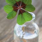 Kalenderblatt Januar 2027, darunter ein Glücksklee in einer Glasflasche und ein Zitat von Henry David Thoreau.