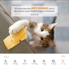 Zitat: „Wir brauchen den Appetit der Neugier, um in den Genuss neuer Entdeckungen zu kommen.“ Katze greift nach Käse.