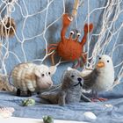 Filztiere: ein Schaf, eine Möwe, eine Robbe und ein Krebs vor einem blauen Hintergrund mit Netz und Muscheln.