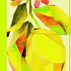 Eine Illustration zeigt eine abstrakte Zitrone mit bunten, geometrischen Formen und einer rosafarbenen Blüte.
