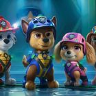 Eine Gruppe animierter Hunde in bunten, futuristischen Rüstungen, jeder mit einem passenden Helm ausgestattet.