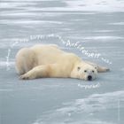 "Irgendwie sind mein Körper und meine Aufstehzeit nicht kompatibel!" zeigt einen liegenden Eisbären auf Eis.