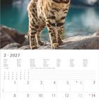 2 • 2027. Kalender für Februar. Foto: Bengal-Katze auf einem Felsen in alpiner Landschaft mit See und Bergen im Hintergrund.