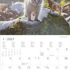 Kalenderseite für Januar 2027, zeigt Tage und Wochen. Oben ist ein Bild einer jungen Katze auf schneebedecktem Holzstamm.