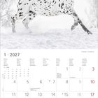 Kalender für Januar 2027. Oben ein weißes Pferd mit schwarzen Flecken im Schnee vor verschneiten Bäumen.