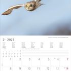 Februar 2027 Kalender. Eine Eule fliegt vor blauem Himmel. Feiertage: Valentinstag am 14., Aschermittwoch am 10.