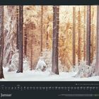 Text: Januar. Schnee bedeckt den Wald, Sonnenlicht schimmert durch die Bäume. Kalenderdarstellung.