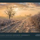 FEBRUAR-Kalenderblatt mit Landschaft: Ein frostiger Morgen in Oxfordshire mit Raureif und einsamen Bäumen im Nebel.