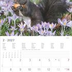 Februar 2027, Wochentage mehrsprachig. Ein Eichhörnchen mit Nuss, umgeben von lila Krokussen.