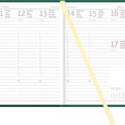 Kalenderwochenübersicht vom 11. bis 17. Januar. Wochentage in mehreren Sprachen. Ein gelbes Lesezeichen.