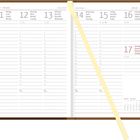 Kalenderseite mit Wochentagen und Daten vom 11. bis 17. Januar. Rechts unten kleiner Monatskalender für Januar.