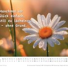 Text: „Manchmal ist Glück einfach, still zu lächeln – ohne Grund.“ Eine Margerite mit Tautropfen, Kalender für März 2026.