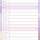 Kalenderüberschrift "Januar" in eleganter Schrift. Tabelle mit Wochentagen, Feiertagen, Platz für Notizen.
