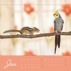 "Jan", Monatskalender mit Datumsangaben, Eichhörnchen und Nymphensittich auf einem Ast vor unscharfem Blumenhintergrund.