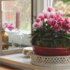 FEBRUAR 2027. Zierliche rosa-weiße Zyklamen in rotem Topf, daneben Kerze und Vasen auf Fensterbank. Kalender unten.