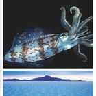 2021, 1, darunter: Kalenderdaten für Januar. Drei Bilder: gefrorene Äste, Tintenfisch, Salzsee-Landschaft.