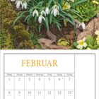 Kalender für Februar, mit Schneeglöckchen und Primeln im oberen Teil. Tabelle mit Datumsangaben unten.