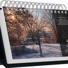 "Magic des Abends. Der Februar lädt ein, innezuhalten..." 

Ein verschneiter Park mit Bäumen bei Sonnenuntergang.