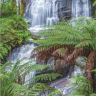 Kalenderblatt mit Datum, Februar. Ein üppiger Wasserfall fließt durch grüne Farne in einem dichten Wald. Logo: DUMONT.