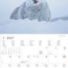 Oben steht: "Du hast da was ... Ja, genau da!" Darunter ein Schneehase im Schnee, darunter ein Kalender für Januar 2027.