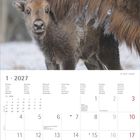 1 · 2027. Kalender mit Januarwochen, Feiertagen und Platz für Notizen. Oben ein Bisonkalb und Bison im Schnee.