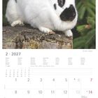Kalender für Februar 2027. Oben ein weiß-schwarzer Hase auf einem Baumstumpf vor grünen Nadelzweigen.