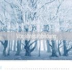 Vorjahresabbildung. Unten: Winterkalender mit blauem Januar, Bäume mit schneebedeckten Ästen.