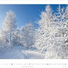 Text: "1-2027". Verschneiter Wald unter blauem Himmel, kahle Bäume mit Schnee bedeckt.