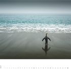 Kalender unten: Februar 2027. Pinguin am Strand vor dem Ozean, ruhige Wellen im Hintergrund, trüber Himmel.