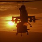 Ein Hubschrauber im Flug, Silhouette vor einem Sonnenuntergang, der Himmel ist Orange, eine Landschaft darunter.