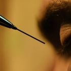 Ein speerartiger Gegenstand vor einem geschlossenen Auge in Nahaufnahme.