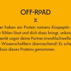 "OFF-ROAD: Wissenschaftler haben ein Protein namens Kisspeptin entdeckt, das unkontrolliertes Küssen fördert."