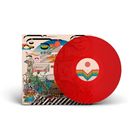 Rote Schallplatte mit geometrischer, bunter Illustration aus Formen und Pflanzen. Retro-Stil, viele Farben und Linien.
