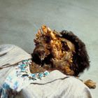 Keine erkennbaren Texte. Eine groteske Figur mit deformiertem Gesicht in einem Anzug. Sie trägt eine auffällige Halskette.