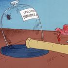 Text: "Specimen Bumble B." Eine Karikatur mit einer Fliege unter einem Glas, einer roten Ameise und einem Teleskop auf einem Tisch.