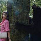Eine Frau in einem pinken Kleid steht erschrocken an einem Baum, während ein großer Bär diesen umklammert.