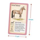 „Achal-Tekkiner“, „Typische Merkmale“. Illustration eines edlen Pferdes mit schlankem Körper, graues Kartendesign.