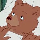 Ein gezeichneter Bär liegt mit einem nachdenklichen Blick im Bett.