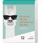 Text: "Wer etwas will, findet Wege. Wer etwas nicht will, findet Gründe." Illustration eines Lamas mit Sonnenbrille.