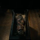 Eine dunkle Umgebung mit einem mumienähnlichen Körper in einem Sarg, umgeben von hölzernem Boden und Laborgeräten.