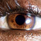Nahaufnahme eines braunen Auges, das detailliert die Iris und Wimpern zeigt.
