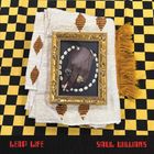Unten der Text: "LEAP LIFE" links, "SAUL WILLIAMS" rechts. Rahmen mit einer Hand auf gemustertem Stoff und Muscheln.