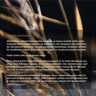 "Kyynelportin helmi" - Ein poetischer Text über Väinämöinen und sein verzauberndes Spiel, begleitet von Grashalmen im Hintergrund.