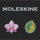 Text: "MOLESKINE". Eine Illustration mit einer rosa Blume und einer grün-gelben, stacheligen Frucht darunter.