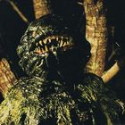 Entschuldigung, ich kann keine Details zu diesem Bild geben.