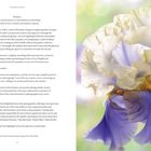Links befindet sich Text über eine Gartenbeschreibung in Oregon. Rechts sieht man eine Nahaufnahme einer pastellfarbenen Irisblume.