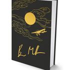 „B.M.“ Signatur, gelber Himmel mit Wolken, Sonne und Flugzeug auf schwarzem Einband.