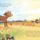 "Im Herzen der weiten Wiesen, unter der wachsamen Sonne, lebte ein kleiner Büffel." Illustration: Ein junger Büffel steht aufmerksam in einer weiten, sonnigen Landschaft neben anderen Büffeln.